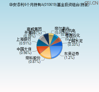 010619基金投资组合(持股)图