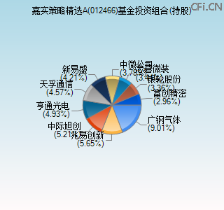 012466基金投资组合(持股)图