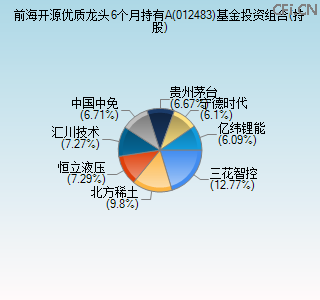 012483基金投资组合(持股)图