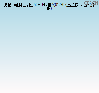 012907基金投资组合(持股)图 012907基金投资组合(持股)图