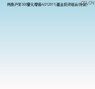 012911基金投资组合(持股)图