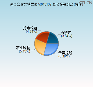 013132基金投资组合(持股)图