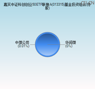 013315基金投资组合(持股)图