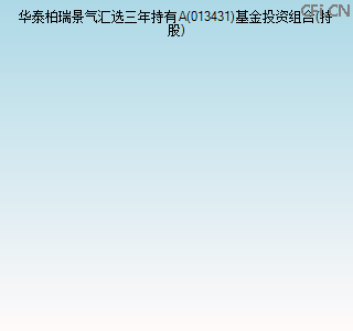 013431基金投资组合(持股)图 013431基金投资组合(持股)图