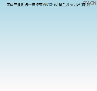 013495基金投资组合(持股)图