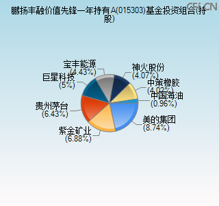 015303基金投资组合(持股)图