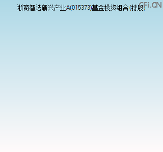 015373基金投资组合(持股)图