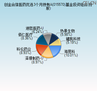 015570基金投资组合(持股)图