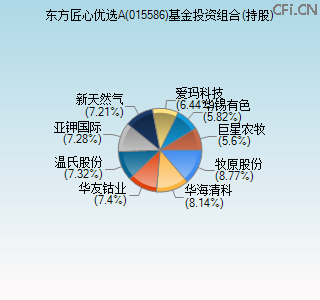 015586基金投资组合(持股)图