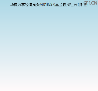016237基金投资组合(持股)图