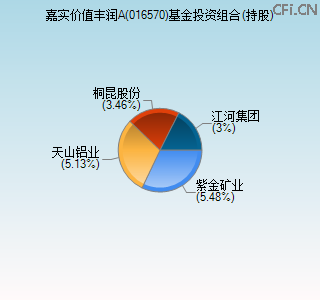 016570基金投资组合(持股)图
