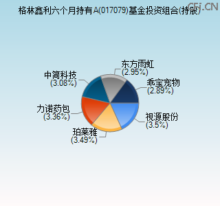 017079基金投资组合(持股)图