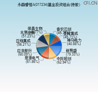 017234基金投资组合(持股)图