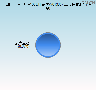 019857基金投资组合(持股)图