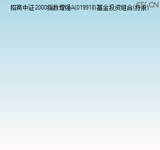 019918基金投资组合(持股)图