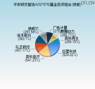 021576基金投资组合(持股)图