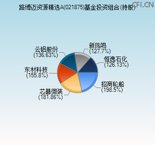021875基金投资组合(持股)图