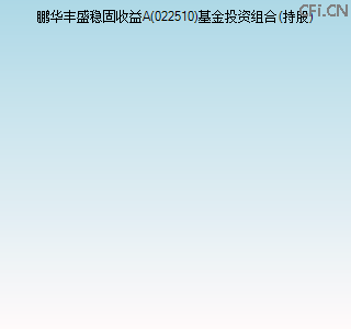 022510基金投资组合(持股)图