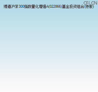 022866基金投资组合(持股)图