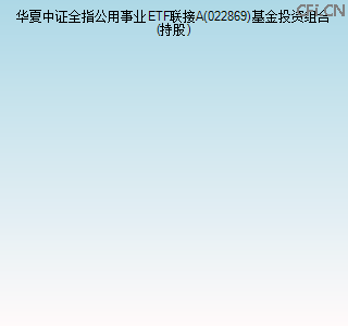 022869基金投资组合(持股)图 022869基金投资组合(持股)图