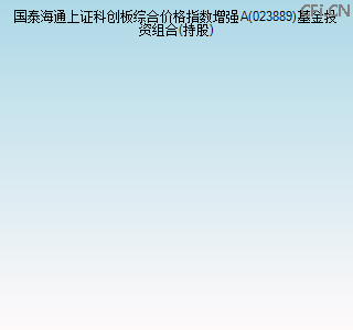 023889基金投资组合(持股)图
