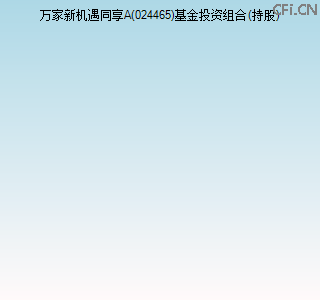 024465基金投资组合(持股)图