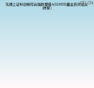 024509基金投资组合(持股)图