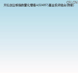 024857基金投资组合(持股)图