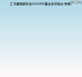 024995基金投资组合(持股)图
