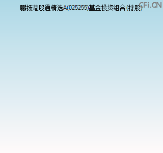 025255基金投资组合(持股)图