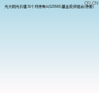 025565基金投资组合(持股)图 025565基金投资组合(持股)图