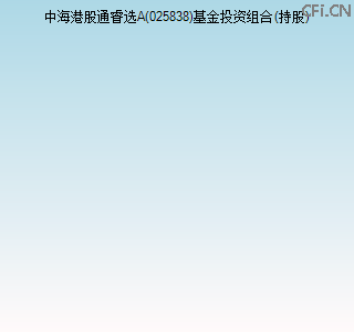 025838基金投资组合(持股)图