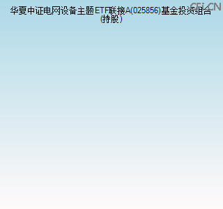 025856基金投资组合(持股)图