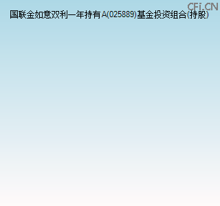 025889基金投资组合(持股)图