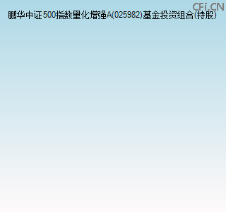 025982基金投资组合(持股)图