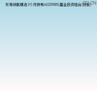 025985基金投资组合(持股)图