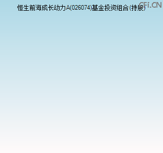 026074基金投资组合(持股)图