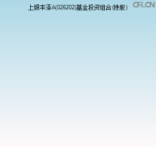 026202基金投资组合(持股)图