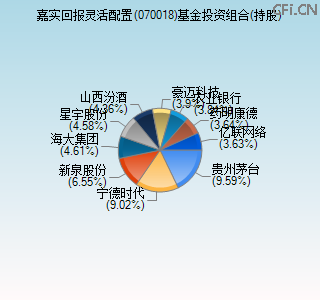 070018基金投资组合(持股)图