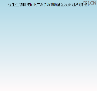 159169基金投资组合(持股)图