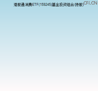 159245基金投资组合(持股)图