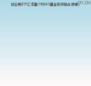 159247基金投资组合(持股)图
