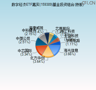 159389基金投资组合(持股)图