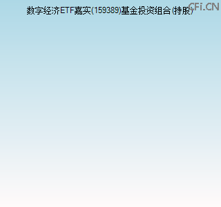159389基金投资组合(持股)图