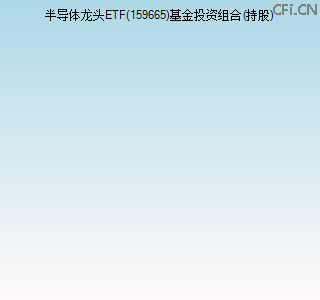 159665基金投资组合(持股)图 159665基金投资组合(持股)图