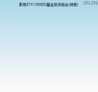 159855基金投资组合(持股)图 159855基金投资组合(持股)图