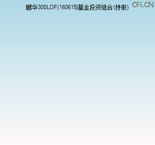 160615基金投资组合(持股)图 160615基金投资组合(持股)图