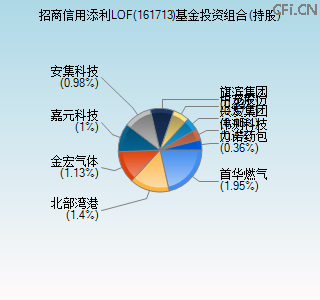 161713基金投资组合(持股)图