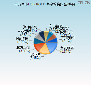 163111基金投资组合(持股)图