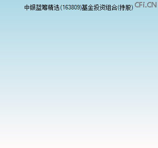 163809基金投资组合(持股)图